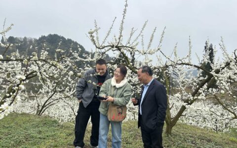 流量变销量！清镇市站街镇“短视频+”模式解锁乡村振兴流量密码