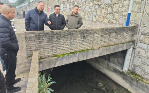 廖梓阳到青龙山街道、巢凤街道开展争旗冲河巡河