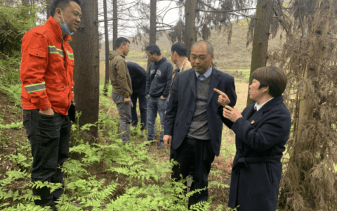 清镇市全面推行林长制筑牢绿水青山底色