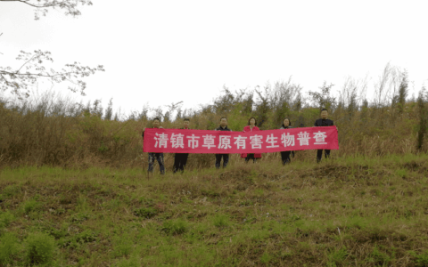 清镇市草原有害生物普查工作全面启动