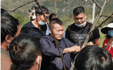 清镇市植保专家到麦格乡腊脚村开展果树病虫害绿色防控培训