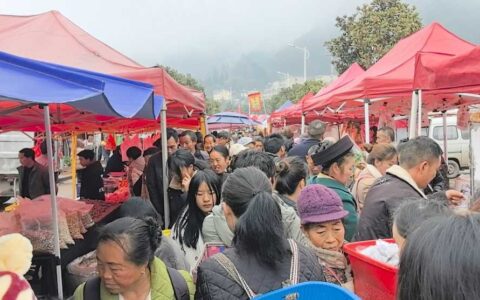 赶大集 备年货！清镇市麦格乡“年货节”购销两旺