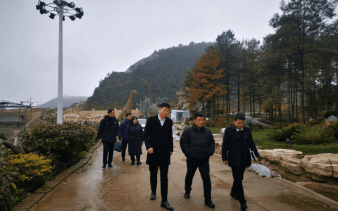 高佐涛副市长调研文旅领域工作