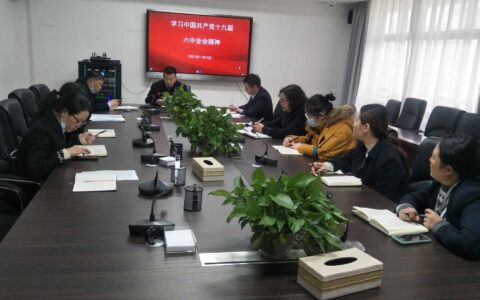 学习党的十九届六中全会精神 争做政务服务战线排头兵
