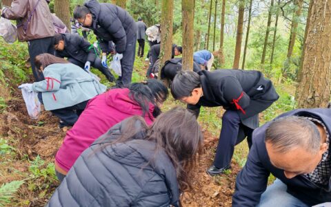 “采麻+赏瀑+住农家”！清镇市矿山村解锁乡村游新体验