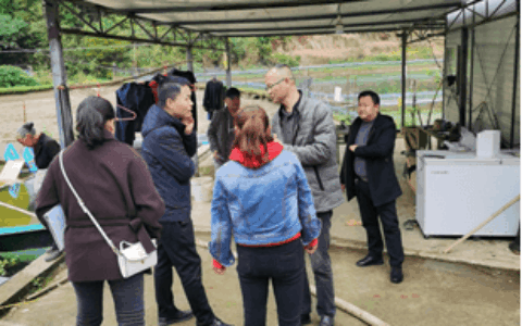 贵阳市农业农村局调研清镇市红膏蟹试养情况