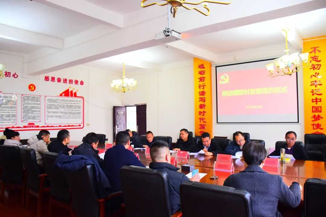新店镇联村发展正式启航！六村三企携手共绘乡村振兴新画卷