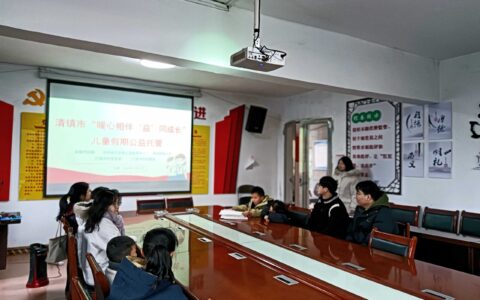 清镇市王庄乡“暖心相伴、益同成长” 乐童计划开班