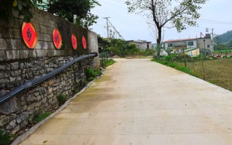 政策铺就幸福路，巧手绘就新乡村—桃子坝村奏响乡村振兴“变奏曲”