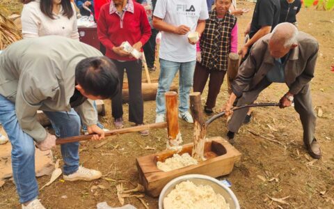 金色稻浪庆丰年 ！暗流镇鼓钟村丰收节农趣“嗨”翻天