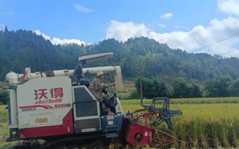 2025中国农民丰收节 | 清镇市站街镇：农机服务“抢农时” 秋收按下“快进键”