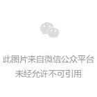 【“强省会”清镇在行动】贵州肉鸡出栏量第一名，她已“霸占”多年！