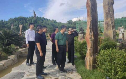 省文旅厅许风伦副厅长带队到恐龙小镇调研