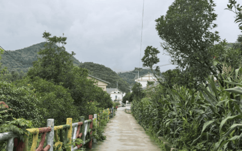 清镇市王庄乡：秸秆发酵床“变废为宝” 绘就乡村绿色新画卷
