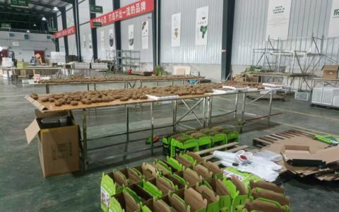 清镇市麦格乡：以“红”为韵 走好新时代乡村振兴路