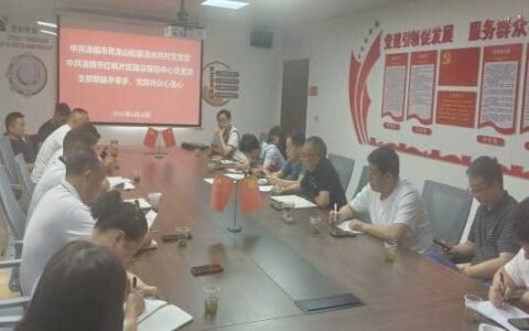 支部联建手牵手 党群共议心连心