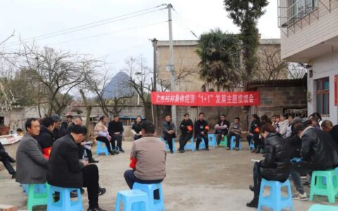 【奋进的春天】清镇市卫城镇上水村：院坝会里话发展
