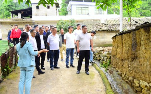 现场观摩拓思路 推进会上谋新篇|新店镇全力推进“两清两改两治理”工作走深走实