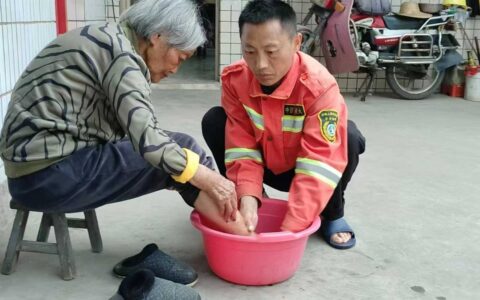 青山守望者：冯再华的六年护林路