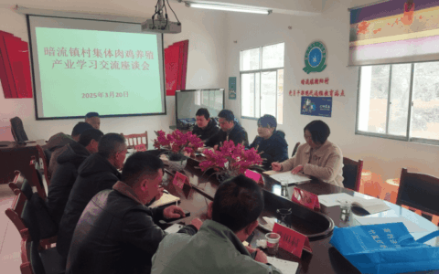 清镇市暗流镇：“头雁”领航传技 共谋“鸡”遇蓝图