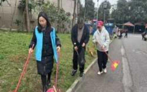支部联建聚合力 环境整治焕新颜