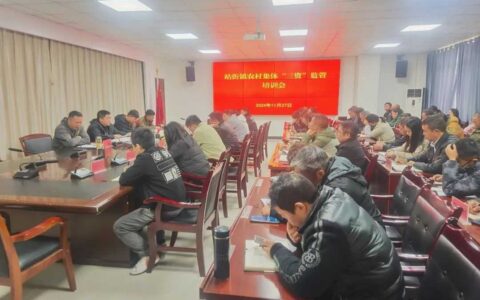清镇市站街镇强化“三资”管理 提升村集体资产监管水平