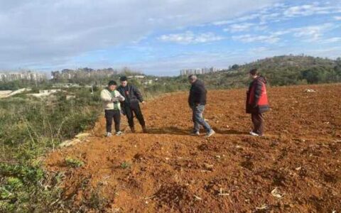 严守耕地保护底线 狠抓图斑整改工作
