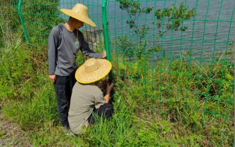 清镇市红枫湖镇：强化水源地保护 让群众喝上“放心水”
