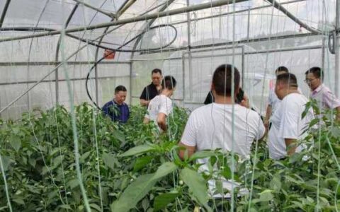 清镇市流长苗族乡：观摩学习找差距 对标先进促提升