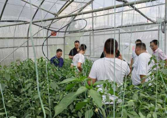 清镇市流长苗族乡:观摩学习找差距 对标先进促提升
