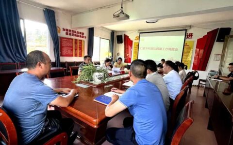 清镇市王庄布依族苗族乡：建强基层党组织 打好“后进”变“先进”翻身仗”