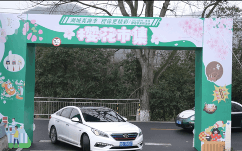 清镇市樱花市集浪漫开市