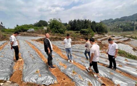 清镇市流长苗族乡：党建“擂台” 摆到产业项目一线