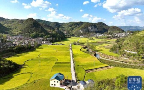 清镇：打造村级乡村振兴“红色新名片”