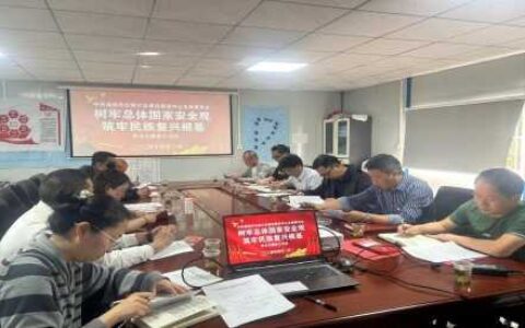 树牢总体国家安全观 筑牢民族复兴根基