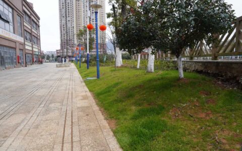清镇市巢凤街道：办好民生实事 解决群众“急难愁盼”