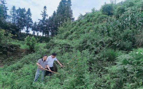 清镇市流长苗族乡：开展封堵小煤窑专项行动  根治历史遗留安全隐患