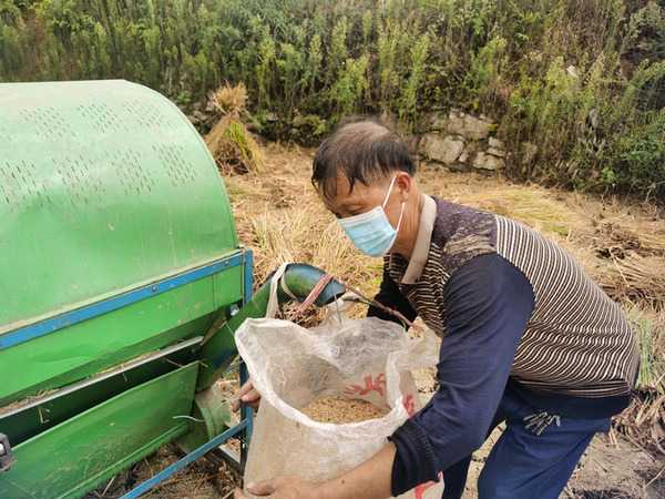 流长乡疫情防控不误农时 秋收秋种生产忙