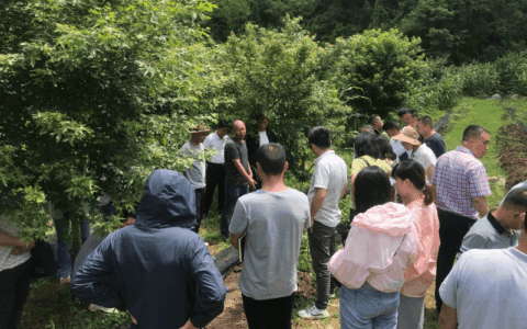 清镇市暗流镇：“四步育苗法”助力村干部服务能力提升