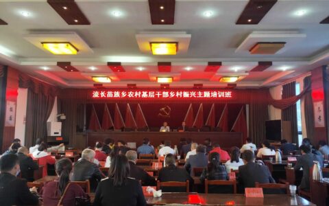清镇市流长苗族乡：育强“领头雁”赋能乡村振兴“加速跑”