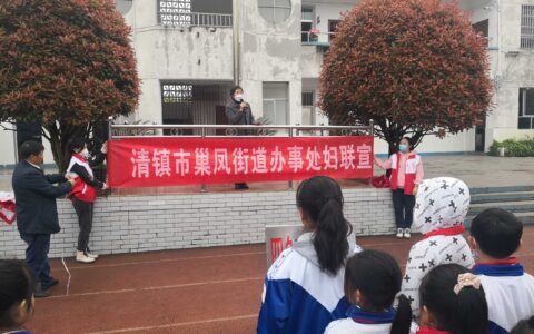 巢凤街道妇联开展森林防火“巾帼”志愿宣传活动