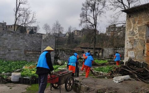 乡村两级联动，农村五治更出彩