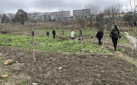 清镇市红枫湖镇开展禁种铲毒踏查专项行动