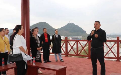 清镇市红枫湖镇骆家桥村：支部建在产业上 村民变身“上班族”