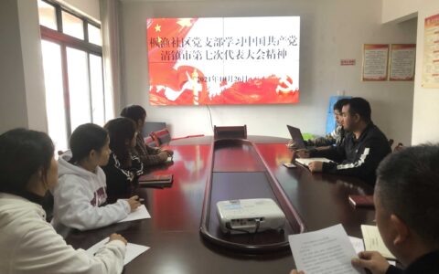 站街镇：“四棋四点”推进市第七次党代会 精神走深走实