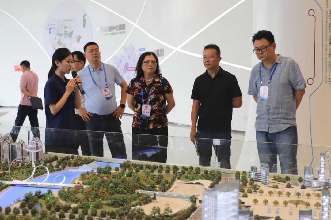 贵阳市十五届人大清镇代表小组视察“贵阳南部中心发展规划建设”工作