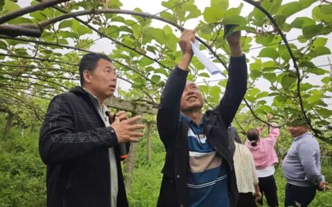 修文：专家传技送宝 助力果农增收