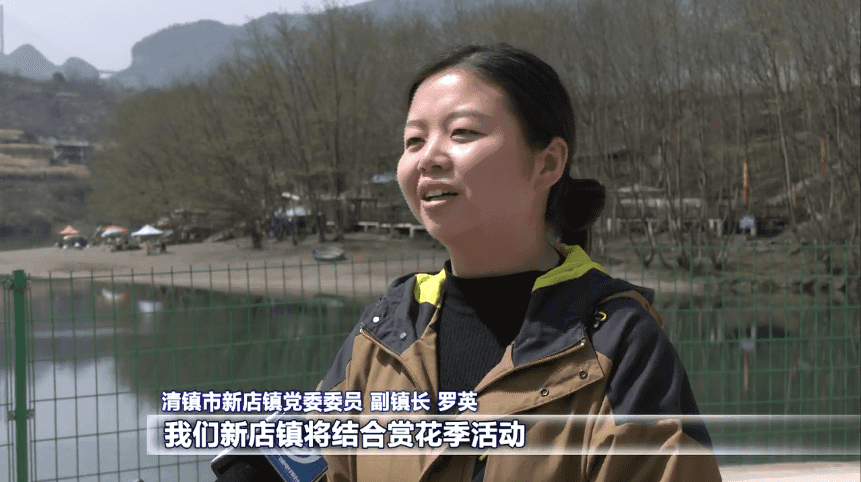 爽爽贵阳 繁花似锦｜以花为媒 共赴一场鲜花烂漫的春天之约