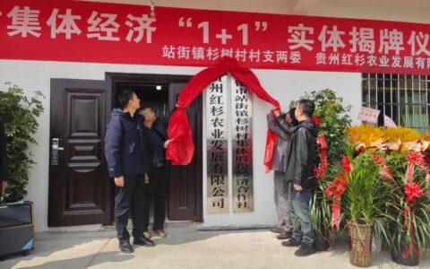 清镇市站街镇杉树村“1+1”集体经济经营实体挂牌成立
