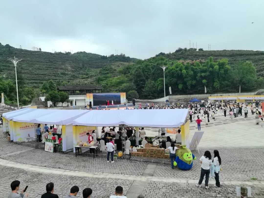 2.93.jpg 线上线下同频共振 修文猕猴桃产销对接大会成果丰硕